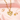 CNL24.png