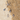 CP5325S-CPP58S-CP5328S-CP327S-CP5581S.png