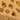 CPP227_CPP337G_CPP239_CPP318G_CP5609_CPP19.png