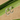 ER1112S.png
