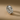 RN21306S-1.png