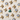 SPC13 (4).png