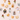 SPC13 (5).png