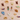 SPC13 (7).png
