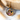 SSPC18_36.png