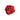 Red Rose Charm