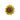 Sunflower Sparkle Charm - Think Goodness